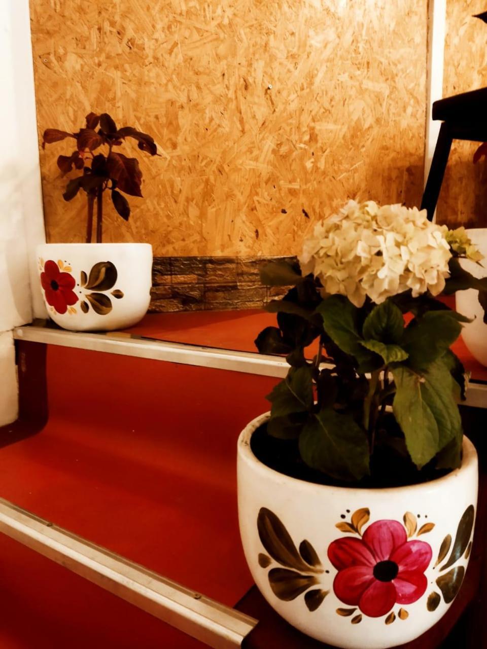 Ecoterra Hoteles Cusco Dış mekan fotoğraf